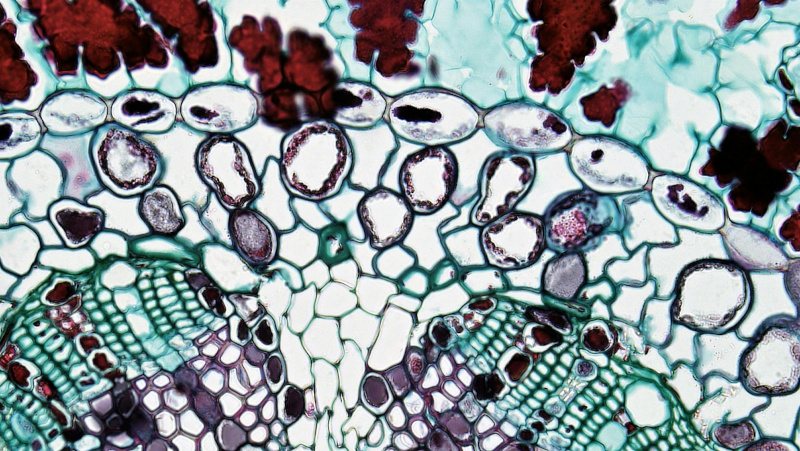 MIXI Lecture 06: Embodied STEM Learning: Place, Border, Being